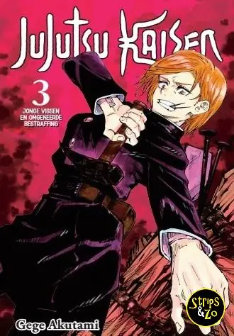 Direct Beschikbaar Jujutsu Kaisen (NL) 3
