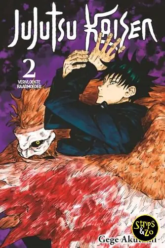 Jujutsu Kaisen (NL) 2 Laatste Kans