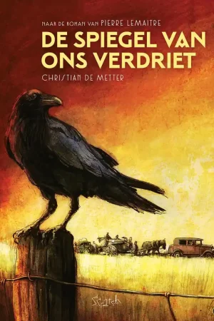 Actieprijs De spiegel van ons verdriet