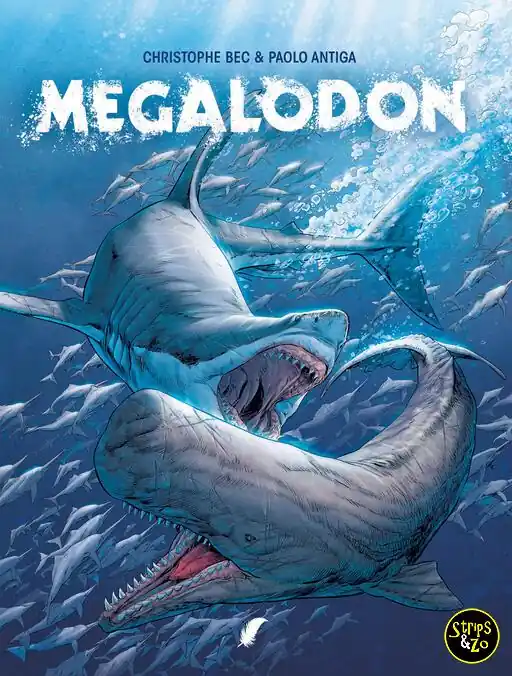 Gecertificeerd Megalodon SC