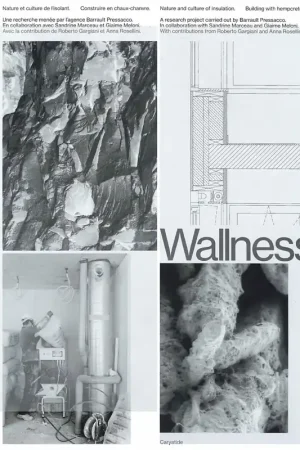 Wallness Laatste Versie