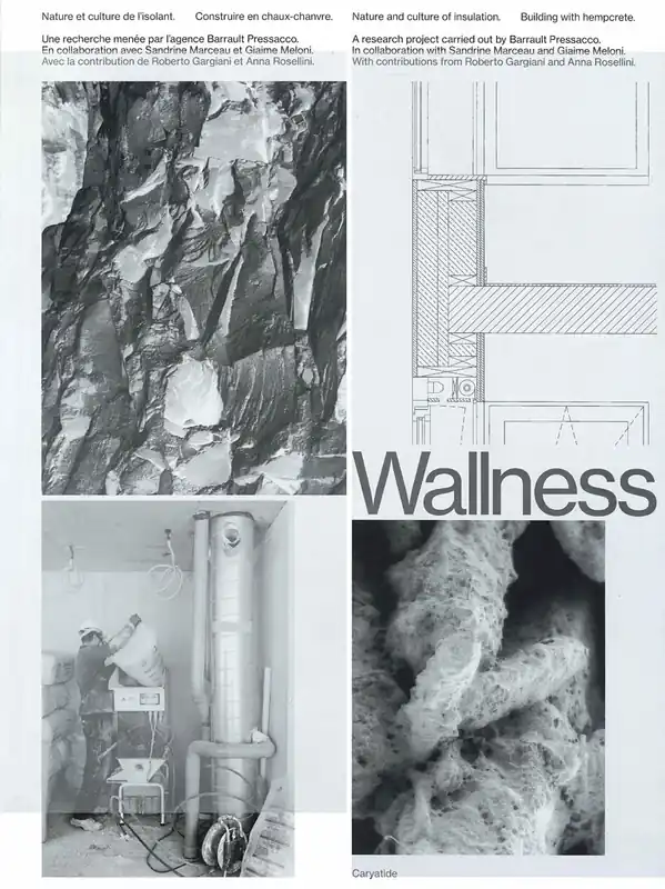 Wallness Laatste Versie