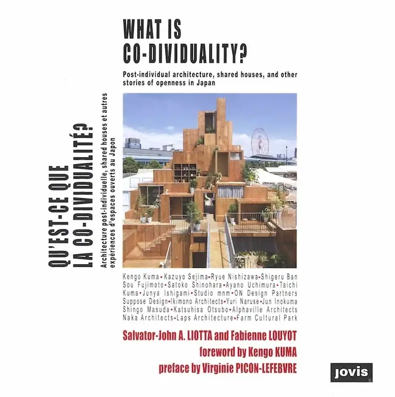What is Co-Dividuality? Direct Beschikbaar