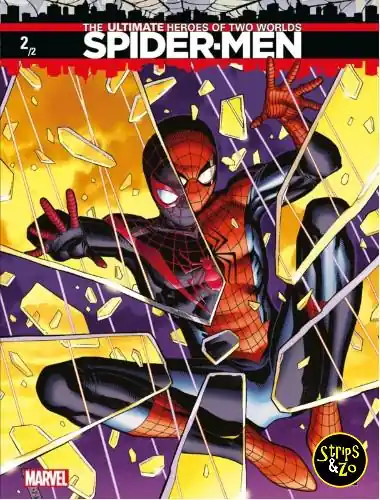 Betaalbaar Spider-Men 2