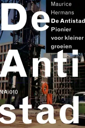 Veilige Betaling De Antistad - ebook