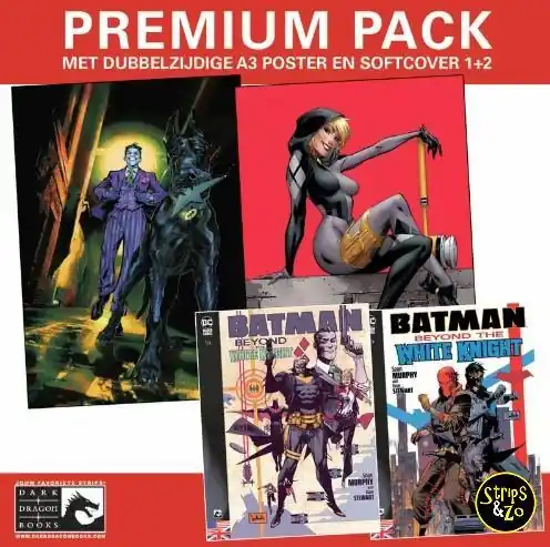 Beperkte Voorraad Batman – Beyond the White Knight 1+2 Premium Pack