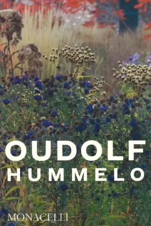 Must-Have OUDOLF | HUMMELO