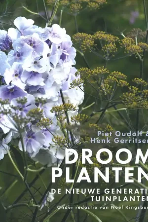 DROOMPLANTEN Shop Nu
