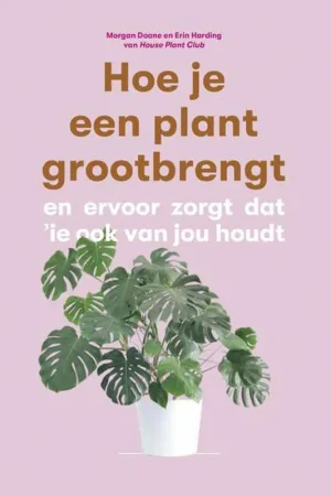 Hoe je een plant grootbrengt Populair