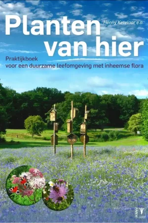 Planten van hier Rechtstreeks Van De Fabrikant