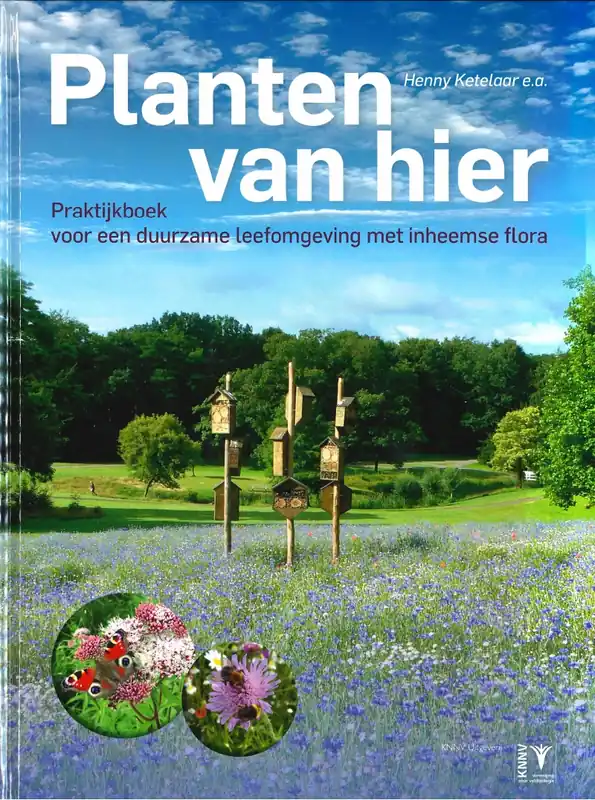 Planten van hier Rechtstreeks Van De Fabrikant