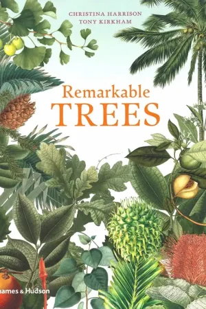 Aanbieding Remarkable TREES