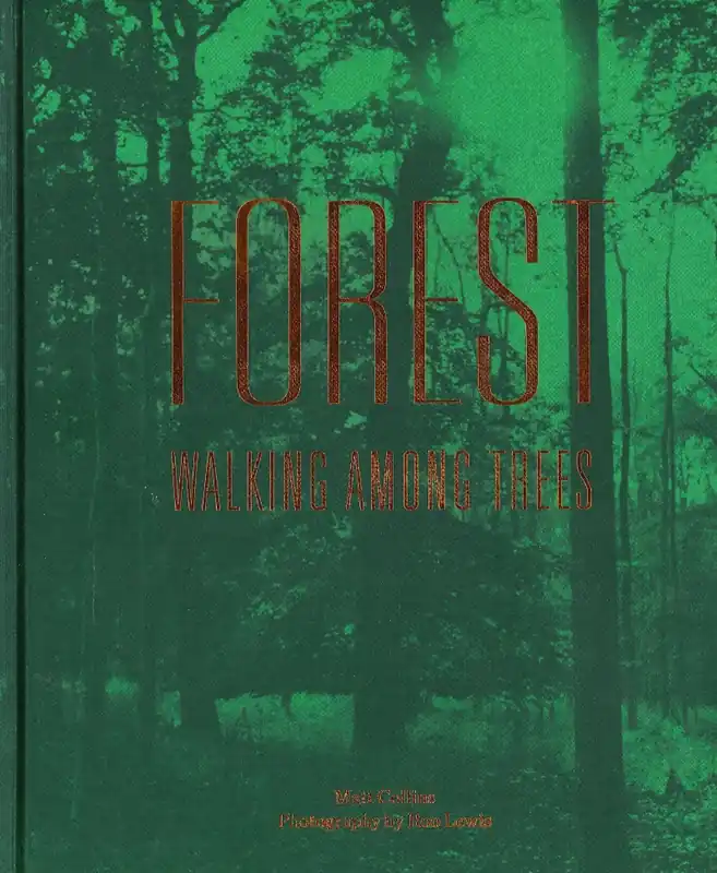 Seizoensaanbieding Forest