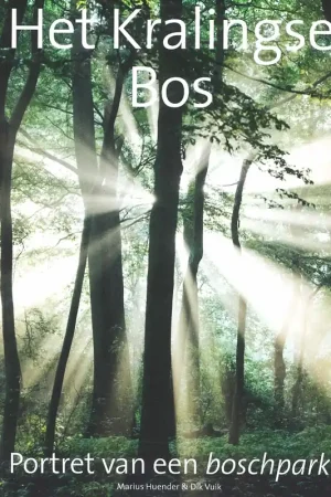 Hoge Kwaliteit Het Kralingse Bos