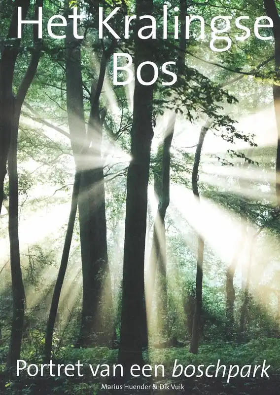 Hoge Kwaliteit Het Kralingse Bos