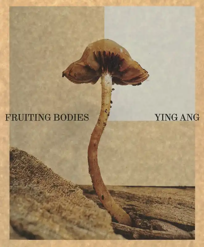 Koopje FRUITING BODIES