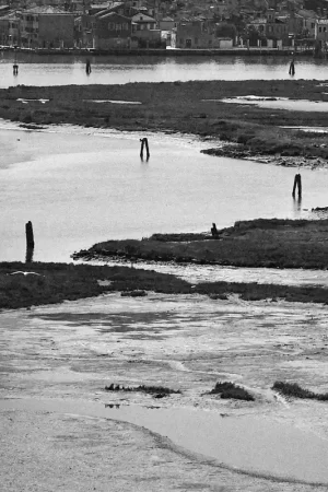 Must-Have Urban Shores