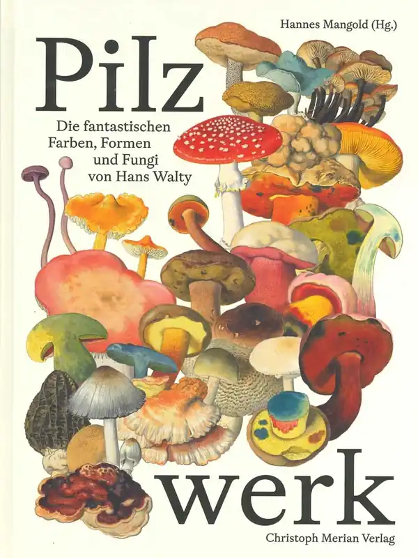 Superprijs Pilzwerk