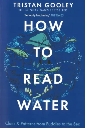 HOW TO READ WATER Hoge Kwaliteit