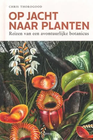 Betaalbaar OP JACHT NAAR PLANTEN