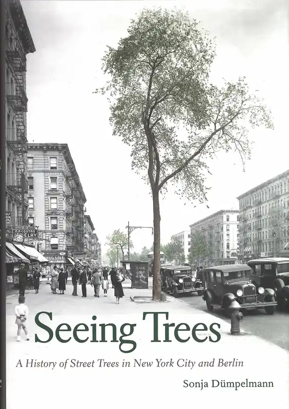Seeing Trees Snelle Levering
