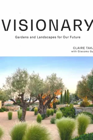 VISIONARY Bestseller