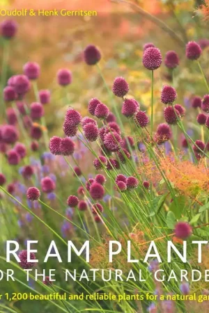 Koopje DREAM PLANTS for the NATURAL GARDEN
