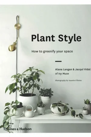 Express Levering Plant Style