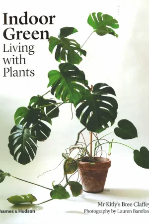 Indoor Green Gratis Verzending