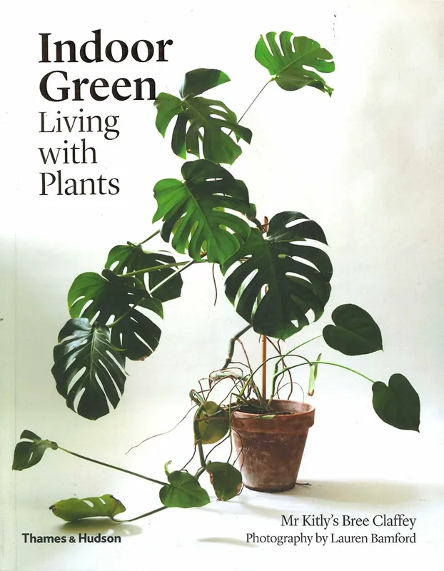 Indoor Green Gratis Verzending