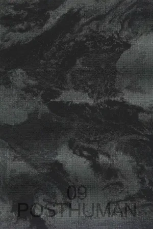 Koop Online New Geographies 09