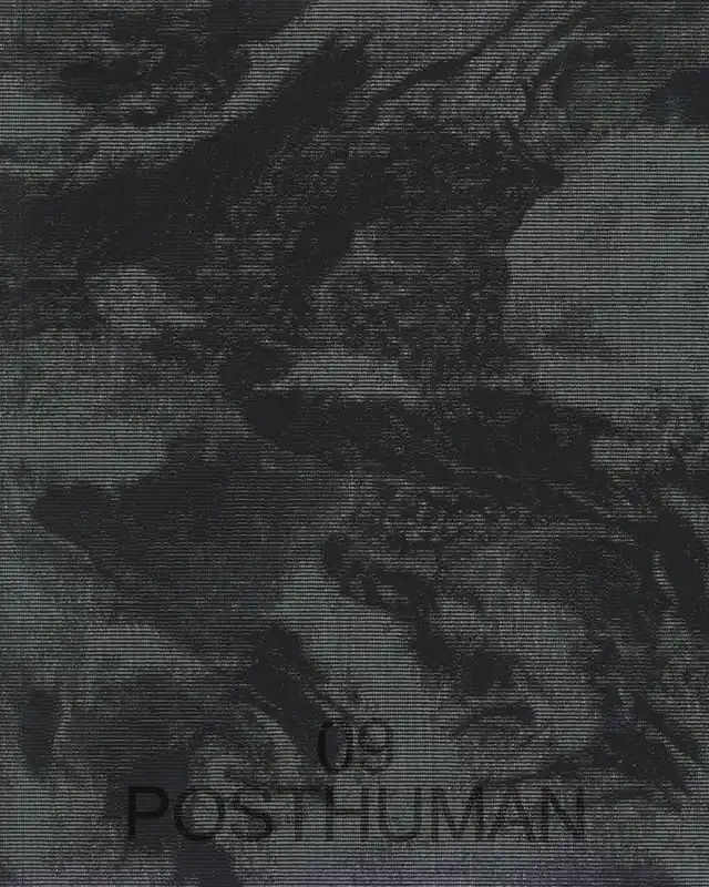 Koop Online New Geographies 09