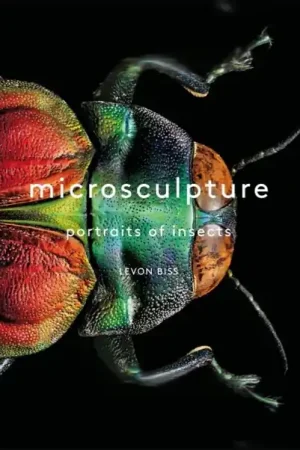microsculpture Dagaanbieding