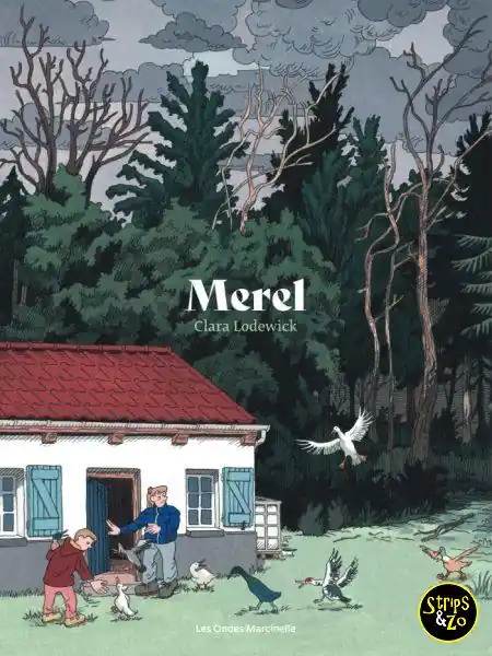 Merel Alleen Vandaag