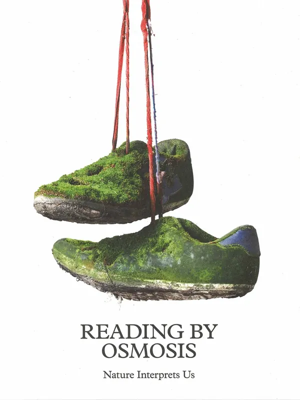 Snelle Levering Reading by Osmosis