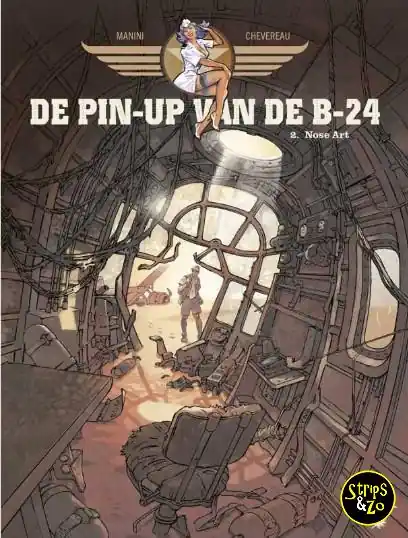 De Pin-Up van de B-24 SC 2 – Nose art Bestel Nu