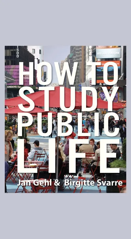 Dagaanbieding How to Study Public Life