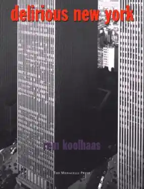 Rem Koolhaas: Delirious New York Meest Verkocht