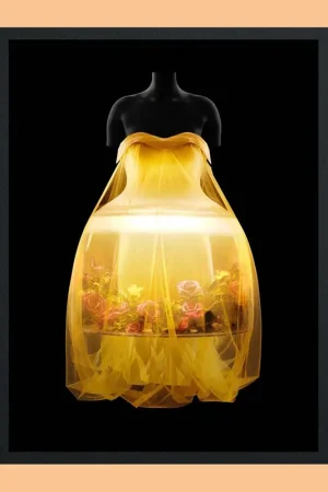 Sleeping Beauties: Reawakening Fashion Seizoensaanbieding