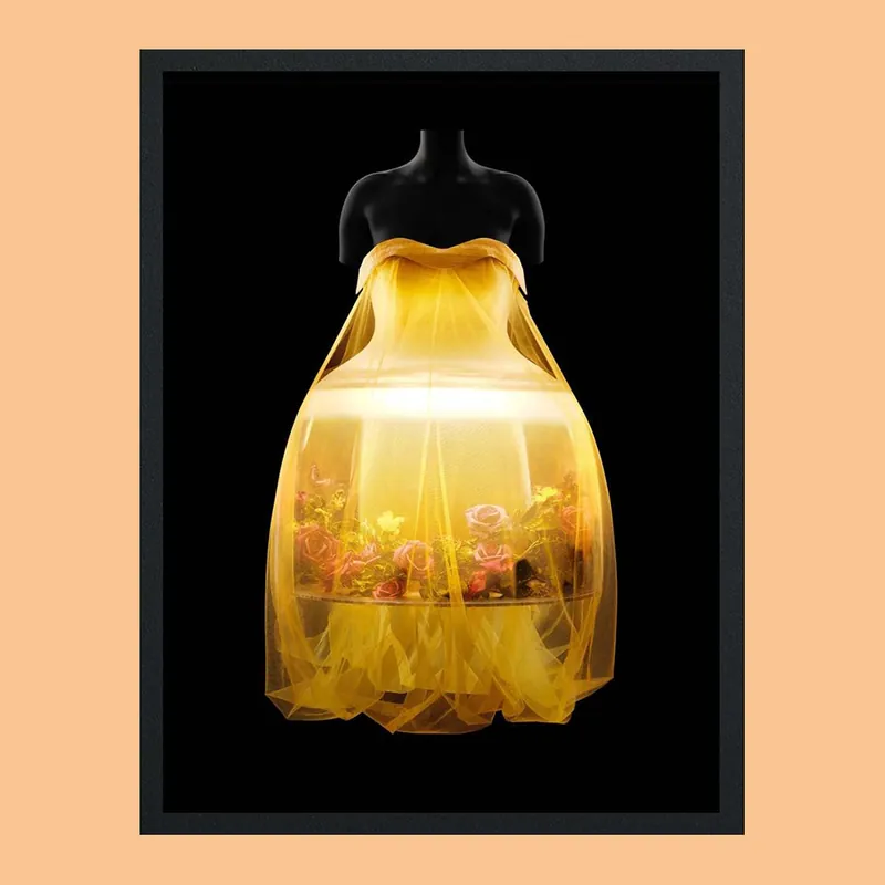 Sleeping Beauties: Reawakening Fashion Seizoensaanbieding