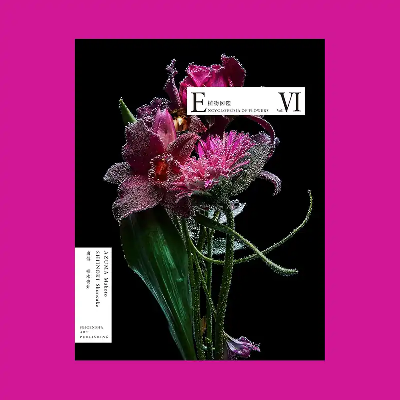 Premium Encyclopedia of Flowers, Vol. VI: 2022 – 2024
