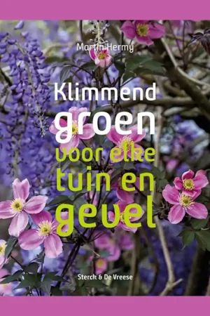 Beste Prijs Klimmend groen voor elke tuin en gevel