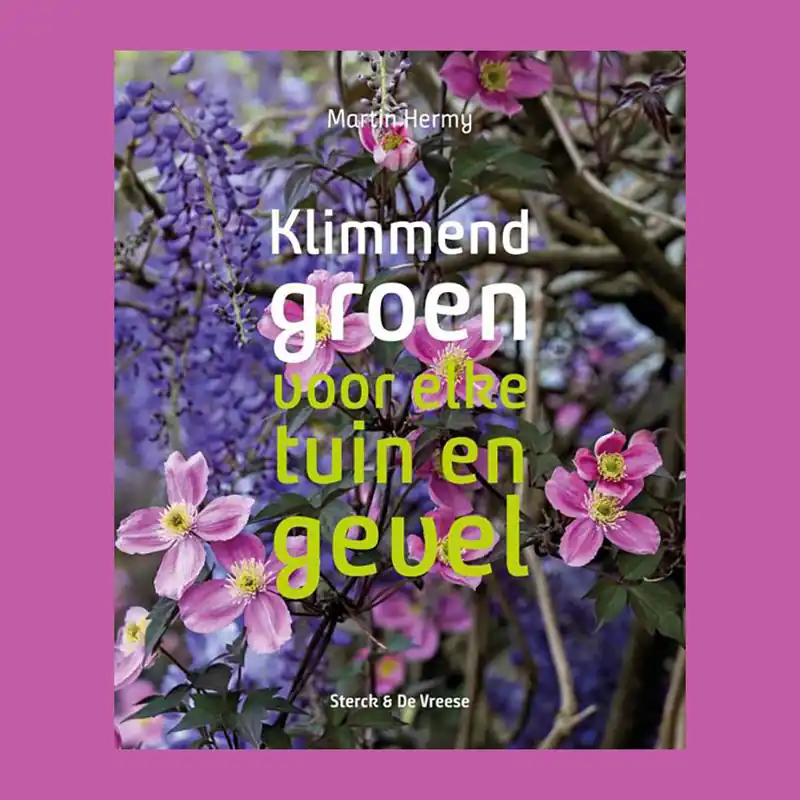 Beste Prijs Klimmend groen voor elke tuin en gevel