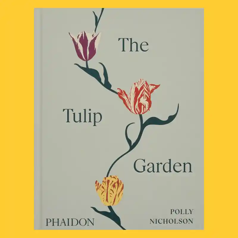 Seizoensaanbieding The Tulip Garden
