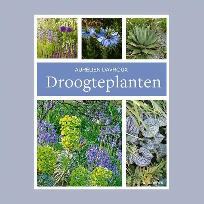 Seizoensaanbieding Droogteplanten