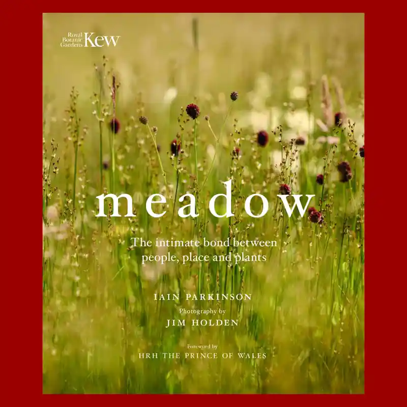 Meadow: The Intimate Bond between People, Place and Plants Shop Nu