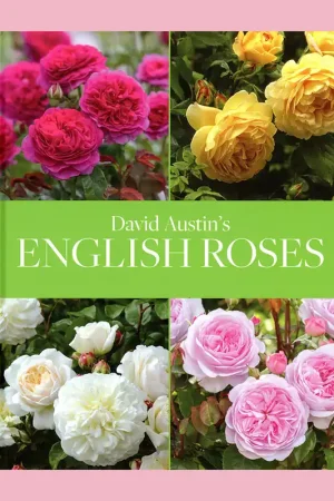 Tijdelijk Beschikbaar David Austin's English Roses