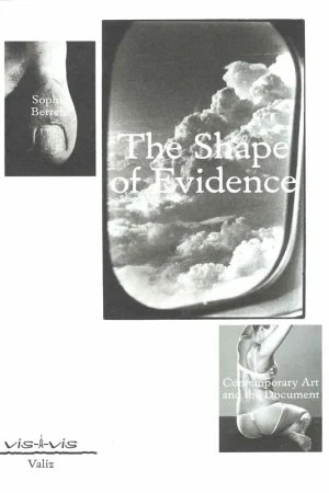 Veilige Betaling The Shape of Evidence