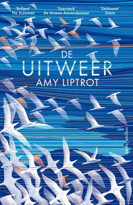 Lage Kosten De uitweer / Druk 4