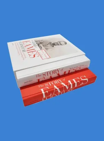 Direct Beschikbaar The Story of Eames Furniture